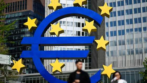 ECB's digital euro sparks flurry of online misinformation