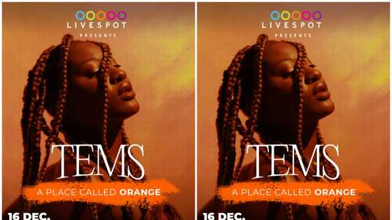 Grammy-nominated artist, Tems to headline novel concert at Livespot X festival