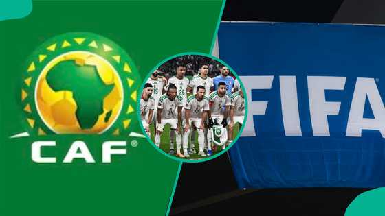 AFCON 2025: Algeria submits official petition to FIFA, CAF after losing to Nigeria