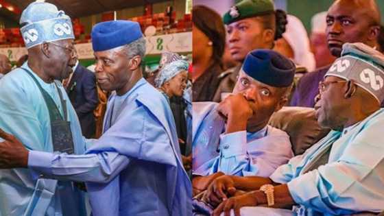 Your loyalty, dedication, selflessness well deserved - Asiwaju Bola Tinubu hails Osinbajo as he clocks 63