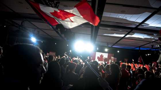 Economy and especially Trump: Canadians' thoughts on campaigns