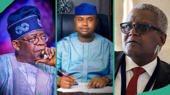 Dangote mentions Tinubu's top appointee who is "a very smart guy", video trends