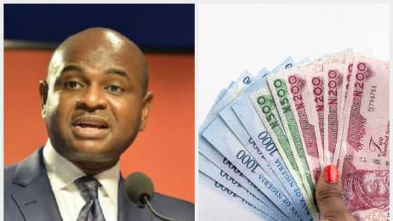 Ex-CBN deputy governor warns Tinubu against making Naira stronger as banks sell one dollar for N765