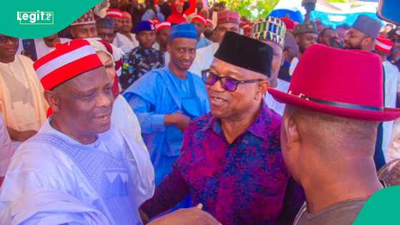 Kwankwaso ya yi karin haske kan jita jitar koma wa NDC da Obi domin yin takara
