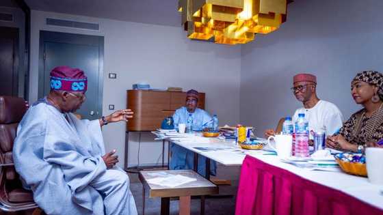 Tinubu, others disqualified? APC screening committee member gives bit-by-bit details of how aspirants fared