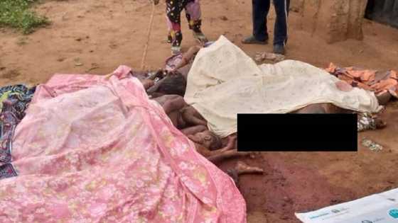 Da Ɗuminsa: Ƴan IPOB Sun Yi Wa Makiyaya Fulani 19 Yankan Rago a Anambra