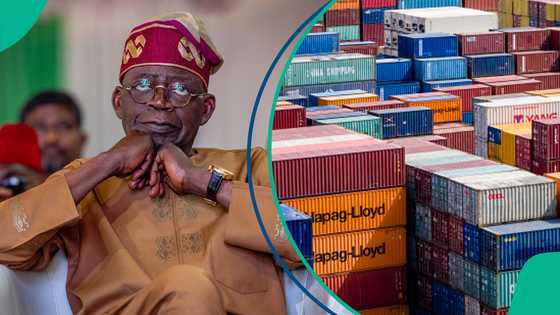25 Banned Items: US may ban more products, data shows top Imports from Nigeria in 2025