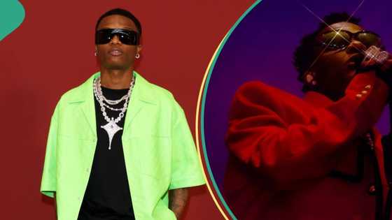 Tottenham Hotspur, seven other stadiums Wizkid has sold out