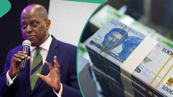 CBN source claims naira crash caused by powerful Nigerians, says speculators sabotaging FG's efforts