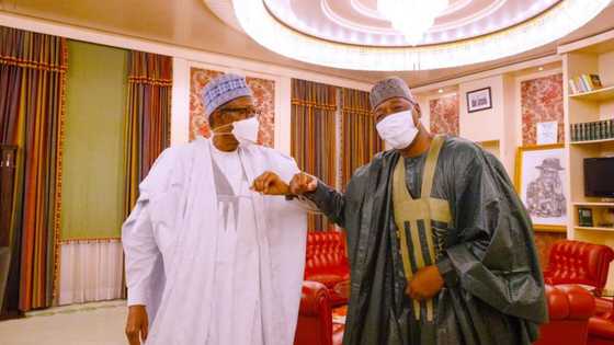2023: Buhari Muke Jira Ya Faɗa Wanda Ya Ke Son a Ba Wa Takarar Shugaban Ƙasa, Mu Yi Biyayya, Zulum