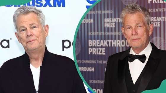 David Foster's net worth (2025): the making of the star's impressive wealth
