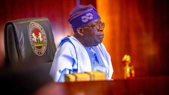 Presidential Tribunal: Finally, Tinubu admits dual citizenship allegation as lawyer makes crucial demand