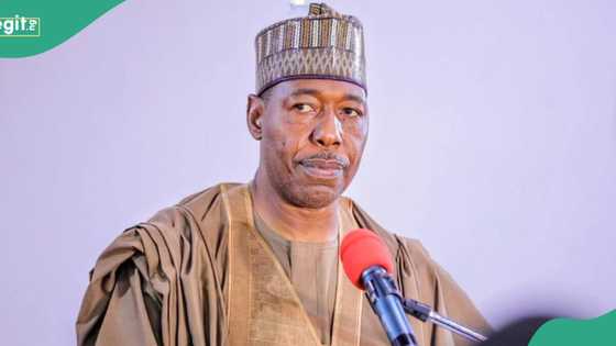 Jubilation as another Nigerian governor declares public holiday, gives reason