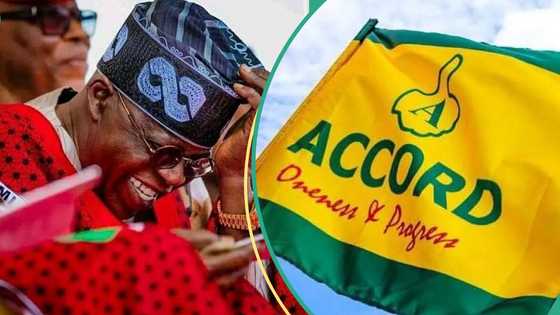 2027: "We will take Nigeria back": Accord party dares Tinubu, sends major message to Nigerians