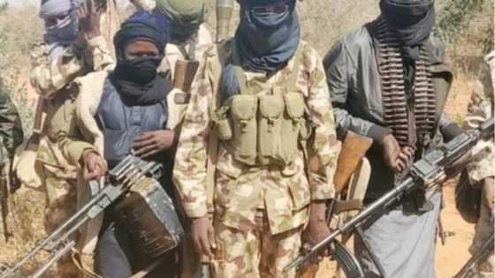 'Yan bindiga sun sheke rayuka 300, mutum 3,000 sun rasa muhalli a Niger ta gabas, Sanata