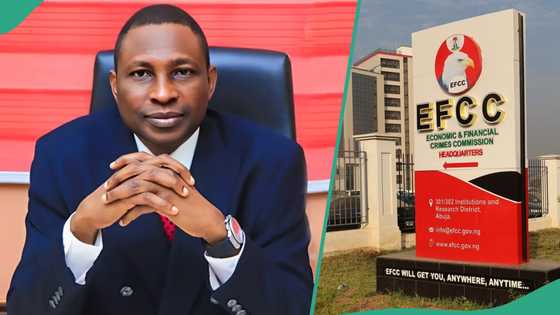 EFCC speaks on certificate issued to CBEX operator, makes clarification