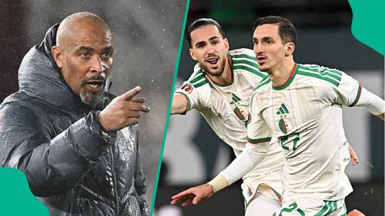 AFCON 2025: Eric Chelle reveals what Super Eagles must do to defeat unbeaten Algeria