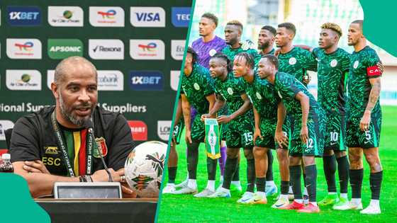 Eric Chelle lines up new goalkeeper for Super Eagles amid Maduka Okoye betting scandal