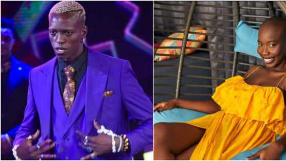 Now this is a ship I stan: Fans react as BBNaija's Hermes and Allysyn kiss passionately and make promises