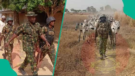 Kanin Ado Aliero ya kai hari Katsina, sojoji sun gwabza fada da 'yan bindiga