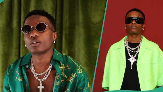 Wizkid makes fans salivate as he names his favourite soups: "Egusi and efo, ah, I love the two"