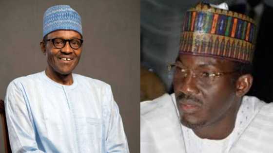 Babban dan siyasan arewa ya yi hasashen wanda zai lashe zaben Shugaban kasa a 2023
