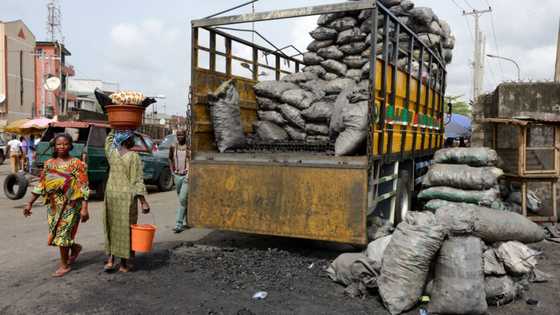 Smart Nigerians eye huge foreign market as FG lifts ban on wood, charcoal exportation