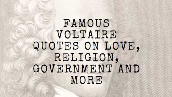 Top Candide, critique, love, and freedom Voltaire quotes