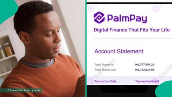 Palmpay customer who made over N3 million in 2024 shares account statement as spends over N3m