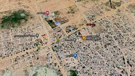 'Yan Boko Haram sun sace ma'aikatan jin kai bakwai a Borno