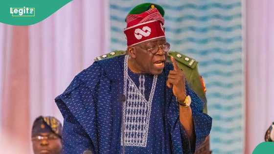 “A former governor will be dropped”: Tinubu may reshuffle cabinet, create new ministry