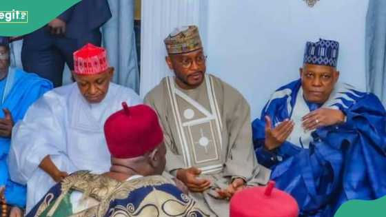 Hotuna sun bayyana yayin da Shettima, gwamnoni suka halarci daurin auren dan Abacha a Maiduguri