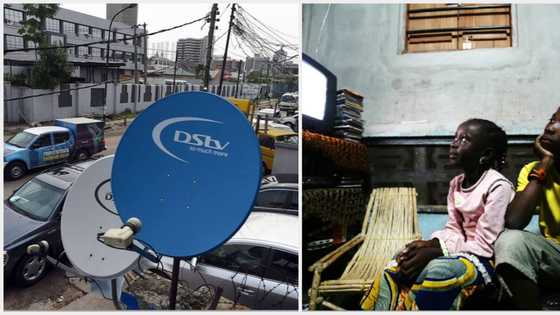 No evidence of hardship: Court throws out case challenging DStv, GOtv subscription price hike