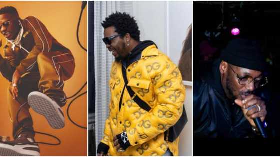 Wizkid, Olamide, 2Baba top list of 6 Nigerian music stars who dropped out of school to pursue their careers
