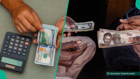 Foreign reserves rise to highest level since 2018 as naira appreciates