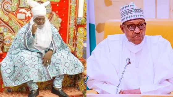 2023: Northern Emir hints on President Buhari's successor, roots for female presidency