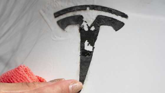 Man charged over Tesla arson as anti-Musk wave sweeps US
