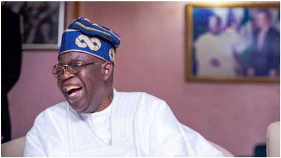 Leaders Send Strong Warning to APC, Reveal How Tinubu is Dividing Northern Christians