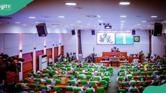 Kudin kwangila: Majalisa ta gayyaci gwamnan CBN, ministocin Tinubu