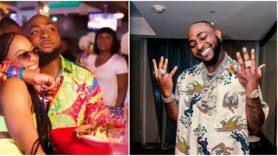 Davido’s 2nd babymama Amanda replies fan who asked if she still loves singer, Nigerians react to her answer