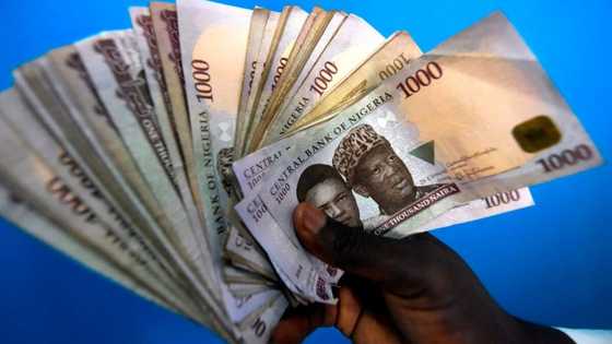 Nigeria breaks nine-month record, falls to N800 per dollar as CBN implements tough FX rules for banks