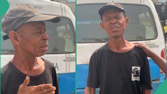 HND graduate of Federal Polytechnic Nekede turns wheelbarrow pusher, seen hustling in streets