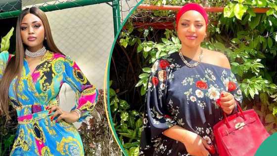 Nigerians fight each other over Regina Daniels' use of English: "You fit get money, no sabi book"