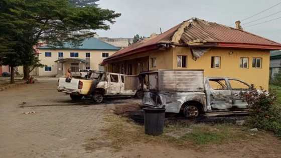 2023: INEC office in Enugu attacked by unknown gunmen, policeman killed