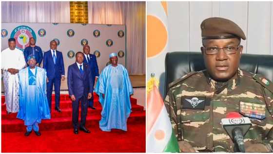 Niger crisis: Arewa advises President Bola Tinubu on 2 crucial steps to take