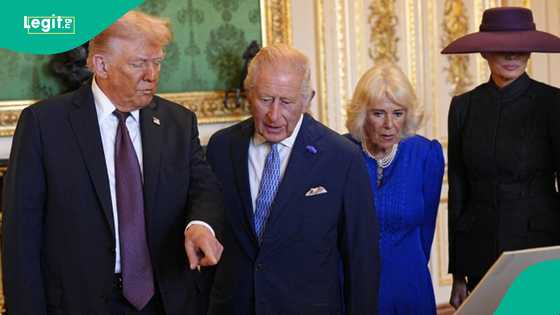 Did Trump slap Prince William’s arms and break protocol during his visit to UK King? What to know