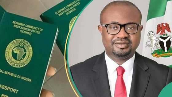“No more long queues”: Nigerians abroad can now apply for passports from home, details emerge
