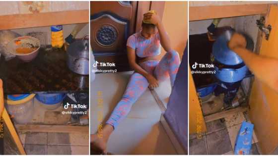 "Go and beg who you offended": Nigerian lady cries out after seeing plenty insects in her pot, shares video