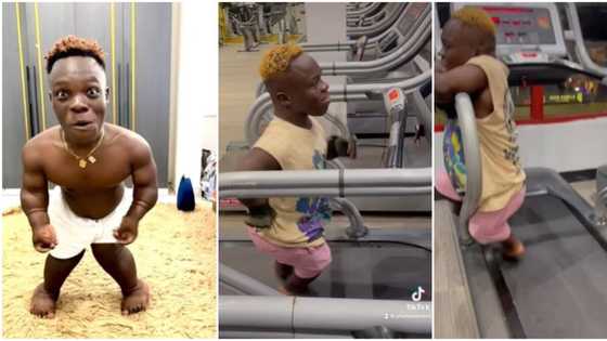 "Who send am?" Reactions as funny video of Shatta Bandle on treadmill goes viral, he held on for dear life