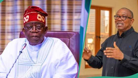 “Don’t spend public funds on private trips”: Peter Obi knocks Tinubu over visit to France